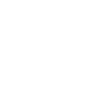 The Brooklyn Bridge Symbol Icon
