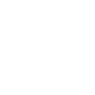 Bert’s Biplane Symbol Icon