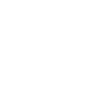 Race, Inequality, and Identity Theme Icon