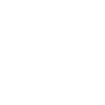 Birds Symbol Icon