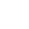 Ducks and Wild Birds Symbol Icon