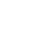 Cricket Symbol Icon