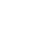 Nationalism Theme Icon