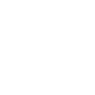Activism Theme Icon