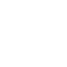Race, Inequality, and Injustice Theme Icon
