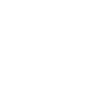 Home and Belonging Theme Icon