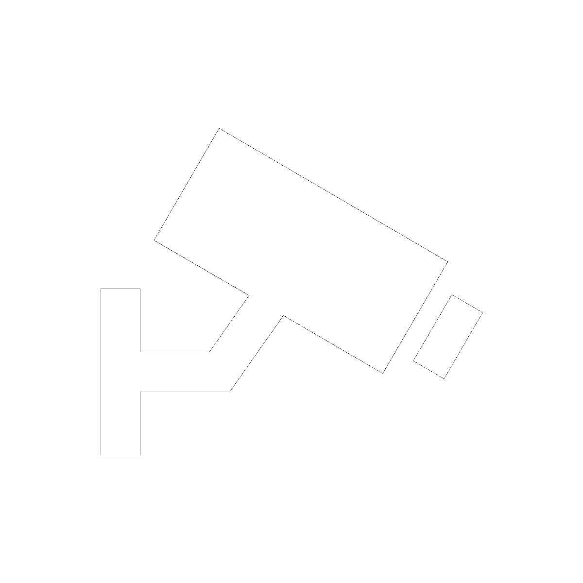 Theme Oppression, Surveillance, and the State