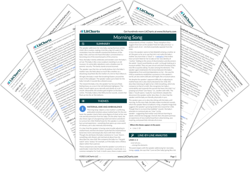 Morning Song Poem Summary and Analysis LitCharts